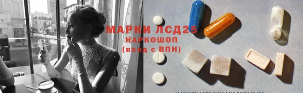 гашик Магадан