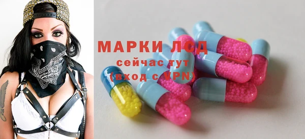 гашик Магадан