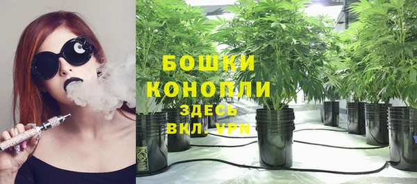 стаф Мегион