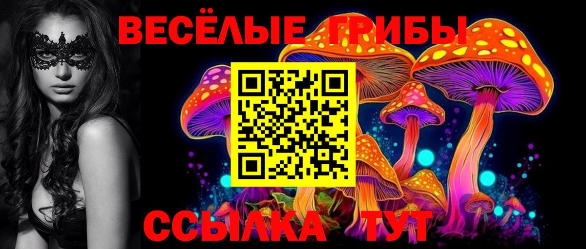 Галлюциногенные грибы Psilocybe  Галлюциногенные грибы Magic Shrooms  Саратов  Вход с VPN 